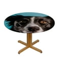 thumbnail image 3 of RUIYC Border Collie Elastic Round Table Cover A Sunny Day at His Owner A Blue Wall Fitted Tablecloth Print Table Pad Home Decor Fits Tables Diameter, 3 of 7