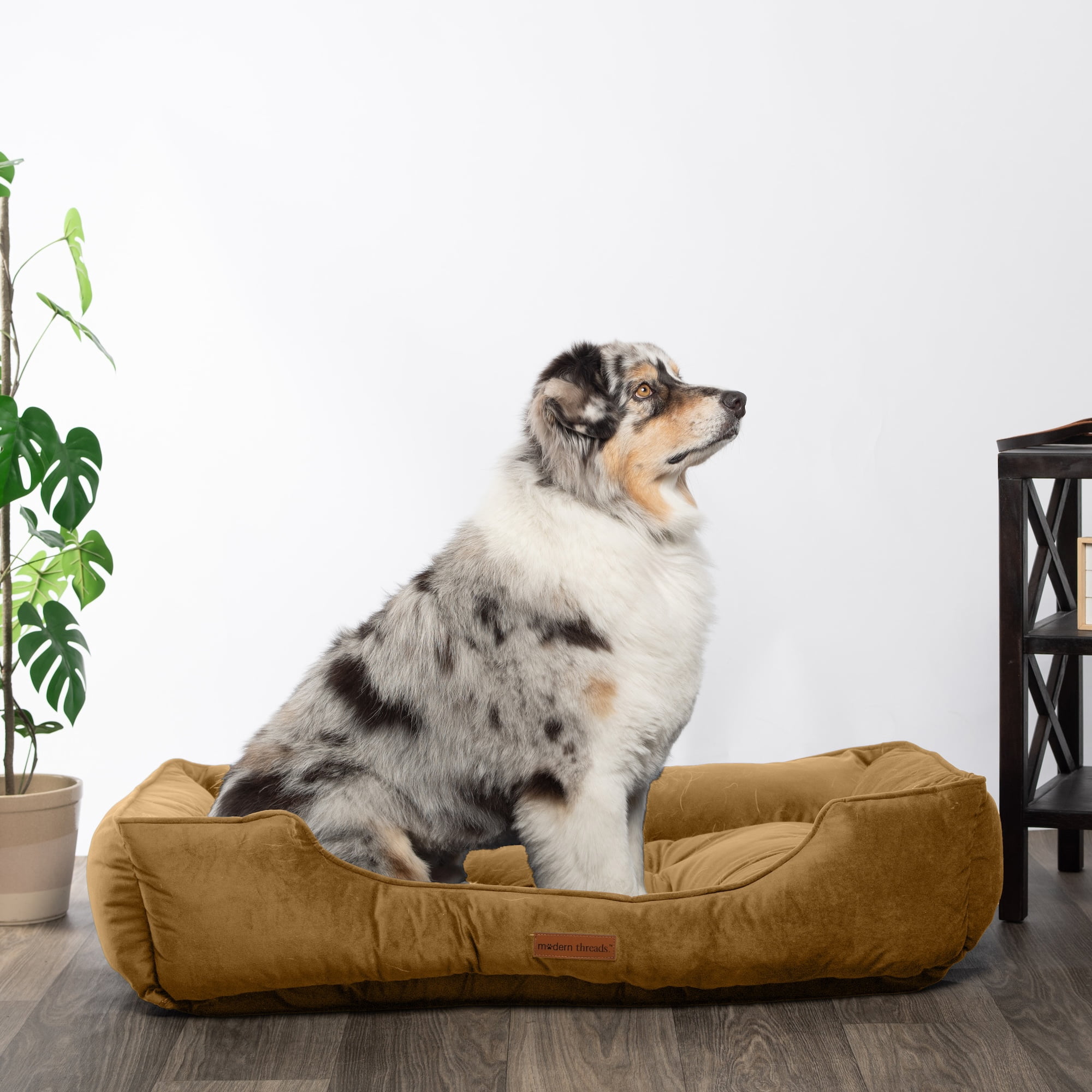 Modern Threads Extra Large Luxury Velvet Tufted-Style Dog Bed, Caramel