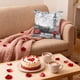 thumbnail image 5 of CaiYueKe Valentines Day Throw Pillow Covers - Holiday Decor Cushion Case for Sofa Couch Chair Living Room Bedroom, Soft Decorative Accent Pillowcase Home Decorations Gift, 5 of 7
