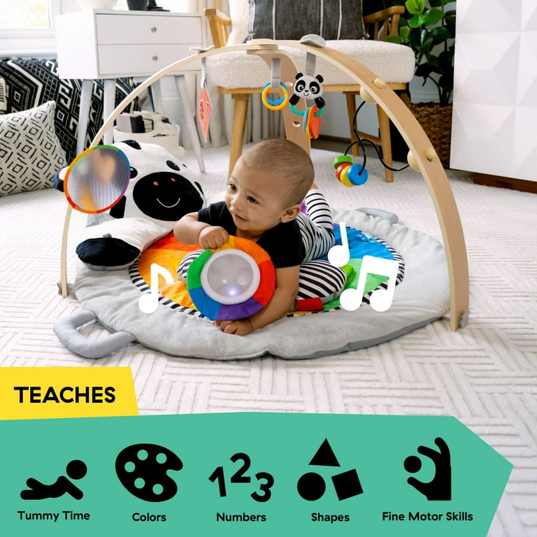 baby  Baby Einstein Zen's Activity Milestones Plush Gym, Unisex