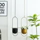 thumbnail image 2 of Yuarrent Cesta colgante de metal elegante para plantas de aire suculentas jardines belleza materiales resistentes a la intemperie Jardín y Patio circulo dorado, 2 of 6