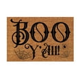 thumbnail image 1 of ILJNDTGBE Mat Holiday Mat Welcome Door Mat Polyester Door Mat 8x10 Plush Area Rug under Bed Rugs for Area Rugs Living Room, 1 of 8