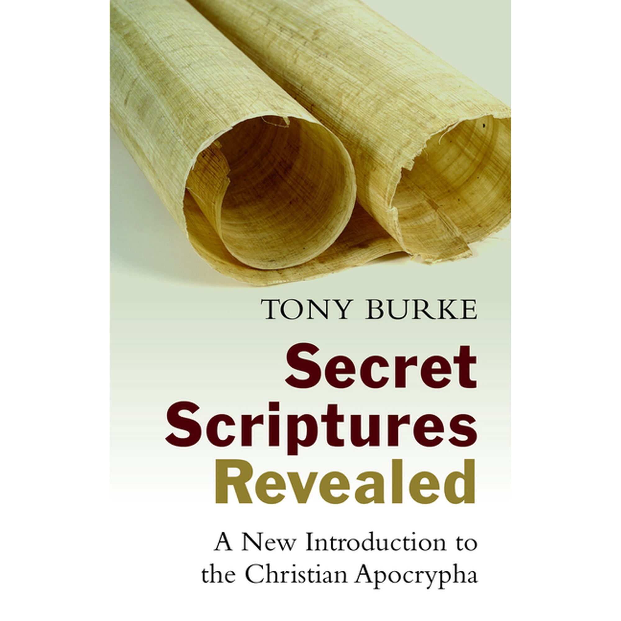 Secret Scriptures Revealed: A New Introduction to the Christian Apocrypha (Paperback)