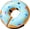 Blue Donut, variant on Inflatable Dog Cone Collar Alternative After Surgery Large, Blue