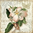 thumbnail image 2 of White, Abby 26x26 White Modern Wood Framed Museum Art Print Titled - Springtime in Paris III, 2 of 4