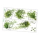 thumbnail image 5 of 2 piezas de calcomanías de pared 3D de cuadrícula de plantas verdes vívidas de PVC para decoración del hogar, pósteres impermeables para Estilo B, 5 of 9