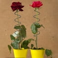 thumbnail image 3 of YWIYIUD 1PC SpiralRod Design Functional ClimbingPlant Bracket 2026 TomatoPlant Supports Adjustable Height Space Saving WeatherResistant Material for Indoor and Outdoor Use, 3 of 8