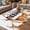 Black, variant on Deer Outdoor Rug for Patio/Deck/Porch, Non-Slip Large Area Rug 3 x 5 Ft, Wildlife Animals Farmhouse Country Elk Indoor Outdoor Rugs Washable Area Rugs, Reversible Camping Rug Carpet Runner