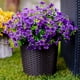 thumbnail image 2 of 12 Manojos de Flores Artificiales de Otoño, Decoración de Otoño Al Aire Libre a Prueba de Decoloración para Porche, Jardín, Patio, Sala de Estar, Recámara - Arreglo Floral Decorativo Multiusos, 2 of 9