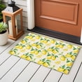 thumbnail image 4 of Farmhouse Watercolor Front Door Rugs 2x3 ft Lemon Fruit Beige Letter Background Small Rug for Entryway Non Slip Washable Bathroom Door Mat Absorbent Floor Mat for Indoor Entrance, 4 of 9