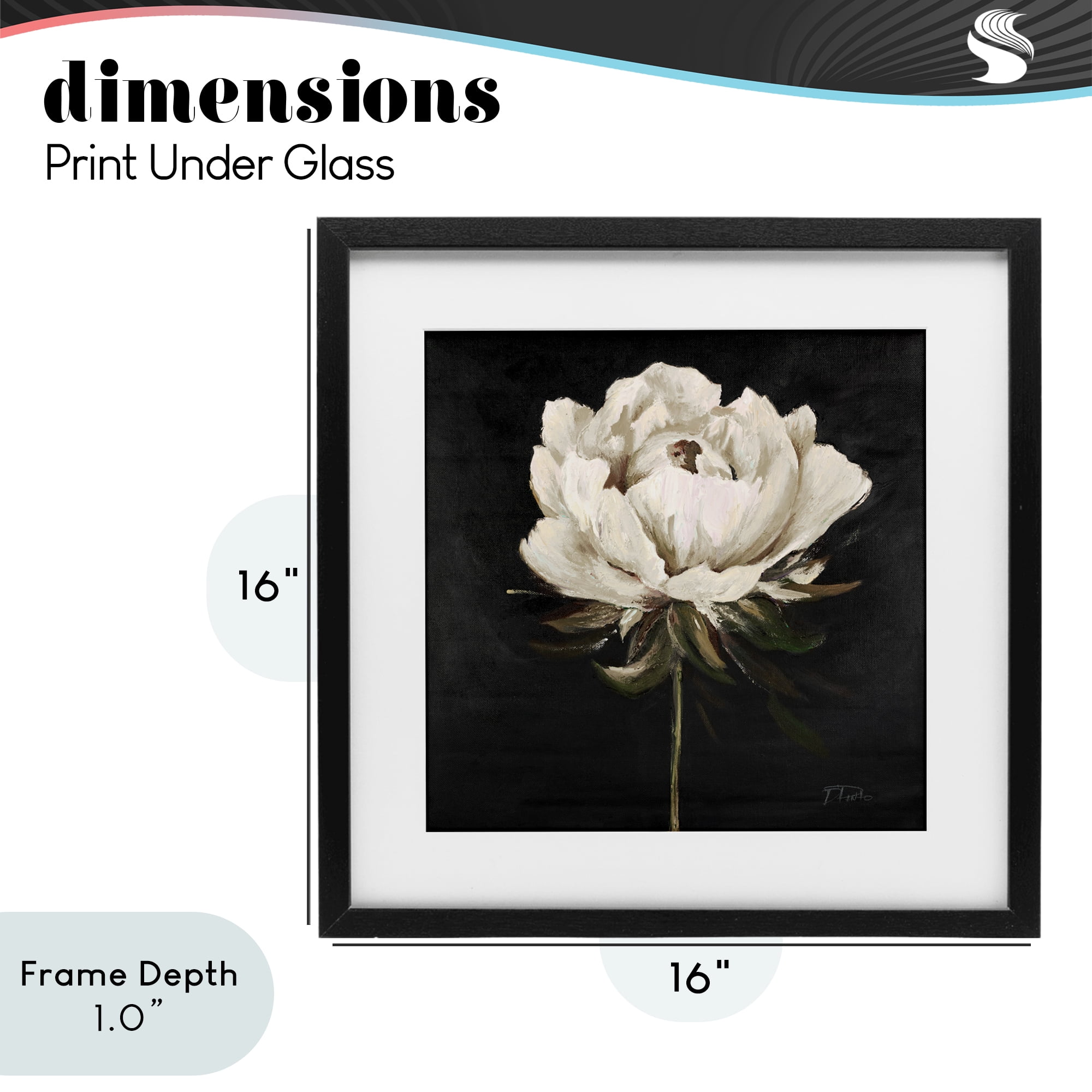 Stupell Industries Pretty Delicate Bloom on Black Black Framed Print Under Glass, design by Patricia Pinto