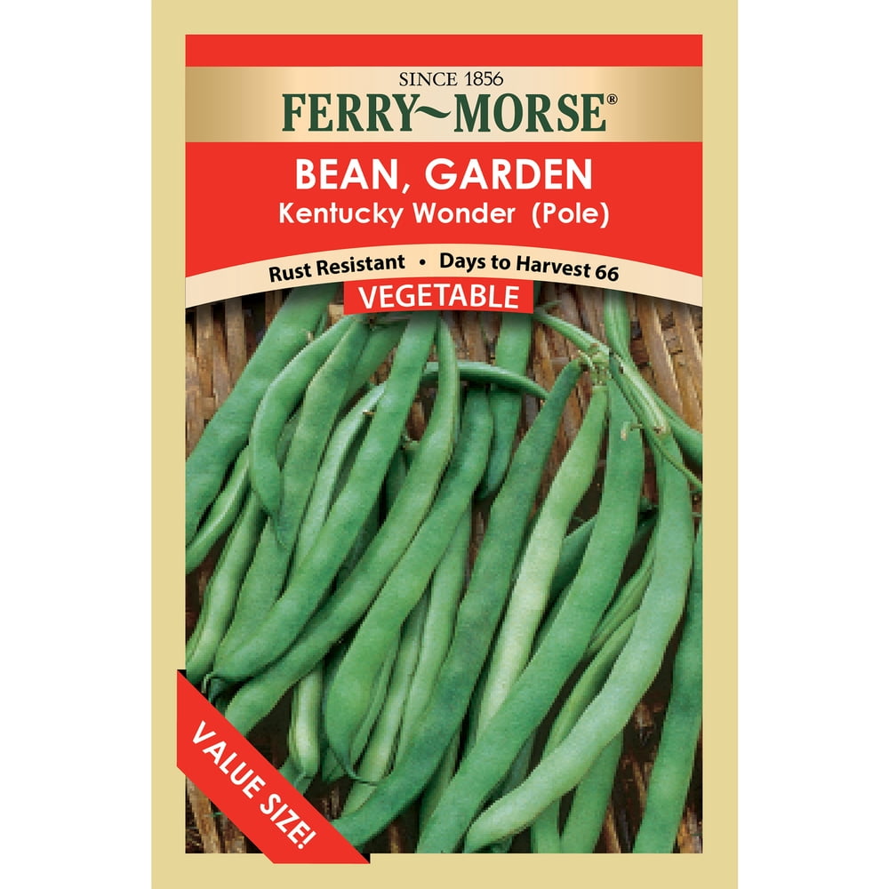 FerryMorse Value Pack Bean Blue Lake Bush 274