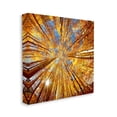 thumbnail image 3 of Stupell Industries Colorado Autumn Trees Nature Photography Gallery Wrapped Canvas Print Wall Art, 17 x 17, 3 of 7