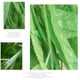 thumbnail image 3 of Inteprter 50 pack/lote enredaderas de hojas artificiales realistas ambiente elegante y Natural hogar hoja de sauce Artificial Decoración, 3 of 6