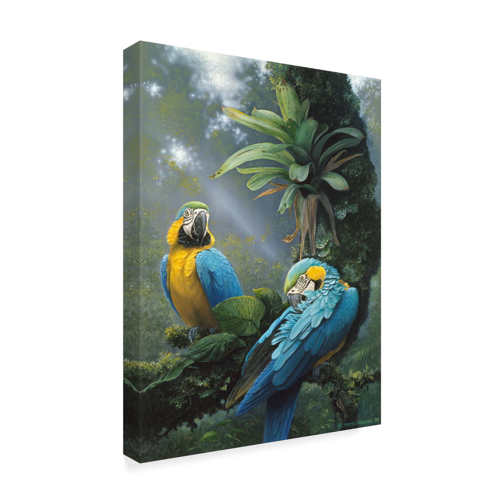 Trademark Fine Art 'Blue And Yellow Macaws' Canvas Art by Harro Maass