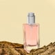 thumbnail image 5 of 1 Juego de Tapón Spray para Frasco de Perfume, Boquilla Sprayera para Perfume de Viaje, Bomba Sprayera, Tapón Sprayero de Plástico para Frasco de Perfume de Repuesto, 5 of 7