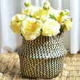 Glass Flower Indoor Small Ceramic Flower 4 Seagrass Wicker Flower Pot