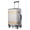Silver & Gold, variant on All Aluminum-magnesium Alloy 2020 New Desinger Luxury Entire Hard Metal Case 20" Carry-On Lugagge Black