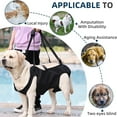 thumbnail image 2 of UOSIA Dog Lift Harness,Full Body Dog Sling Carrier with Handle,Pet Dog Leg Support Sling, 2 of 6