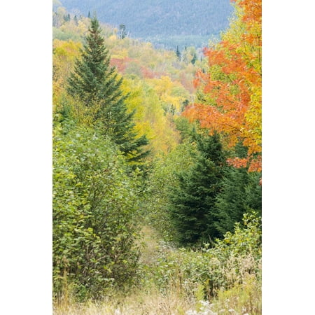 Fall Foliage on the Western Side of Crocker Mountain in Reddington Township, Maine Print Wall Art By Jerry and Marcy (Best Fall Foliage In Maine)
