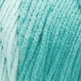 thumbnail image 2 of Red Heart® Super Saver Ombre™ #4 Worsted Acrylic Yarn, Spearmint 10oz/283g #482 Yards (2 Pack), 2 of 4