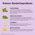 thumbnail image 3 of Lemme Burn - Metabolismo, quema de grasa del vientre + suplemento activador AMPK para hombres y mujeres con actiponina gynostemma clínicamente estudiada, extracto de té verde, vitaminas B6 y B12 - veg, 3 of 5