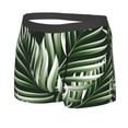 thumbnail image 2 of Disketp Tropical Palm Leaves1 Men'S Boxer Briefs,Soft And Breathable Cotton Underwear With Comfortflex Waistband, 2 of 8