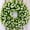 White, variant on BOPORO Artificial Green Leaves Wreath 15 Inch Multi-colored Wreaths Summer Fall Wreaths Springtime A Flower for Outdoor Front Door Indoor Wall Or Window Décor