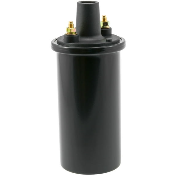 WVE 5C1138 Ignition Coil