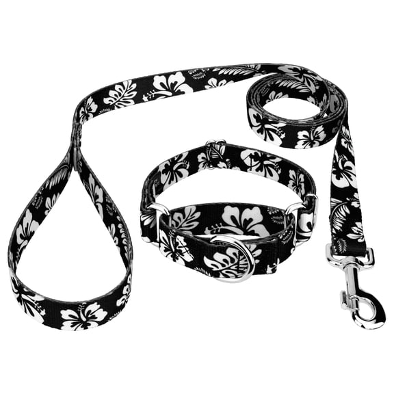 Country Brook Petz® 5/8 inch Black Hawaiian Martingale Dog Collar and Leash, Small