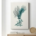 thumbnail image 6 of Antique Coastal Coral VI Premium Gallery Wrapped Canvas - Ready to Hang, 6 of 9