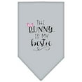 thumbnail image 4 of Pet and Dog Bandana Screen Printed, "The Bunny Is My Bestie", 4 of 10