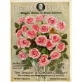 thumbnail image 2 of Vintage Apple Collection 25x32 White Modern Wood Framed Museum Art Print Titled - dingee_pinkroses, 2 of 4