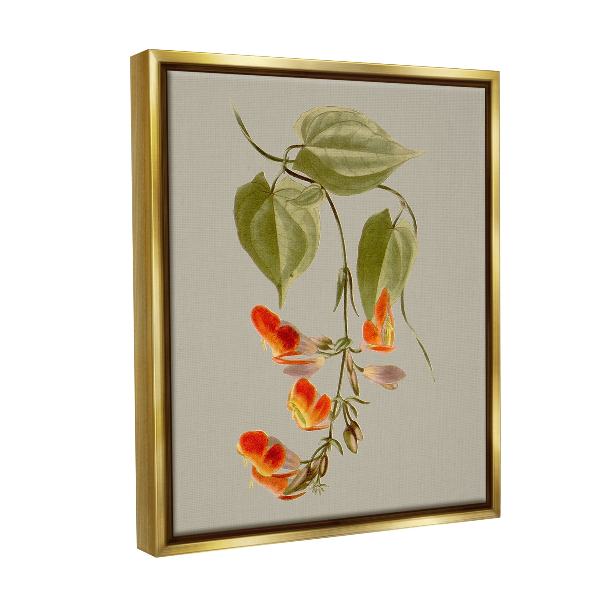 Stupell Industries Vine with Red Blossoms Botanical & Floral Painting Gold Floater Framed Canvas Art Print Wall Art, 17 x 21