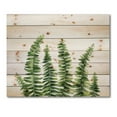 thumbnail image 3 of Designart 'Fern Plant Leaves Detail II' Farmhouse Print on Natural Pine Wood, 3 of 5