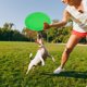 thumbnail image 5 of Disco volador suave de PU para niños, juguete interactivo de entrenamiento deportivo al aire libre para cachorros de perro (verde), 5 of 8