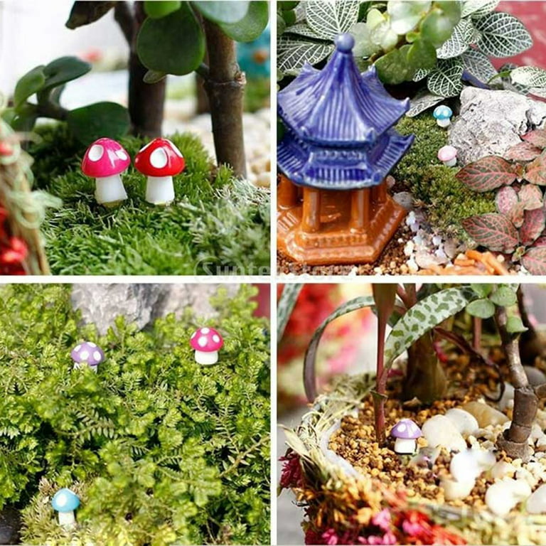  FairySandy 200 Pcs Mini Mushrooms and Frogs Miniature  Figurines Cute Tiny Mushrooms Hedgehog Figurines Garden Statues Mini  Turtles Miniature Turtle Statue for DIY Craft Home Decoration Party Favors  : Patio