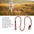thumbnail image 4 of Dog Rope Leash, Durable Dog Leash Flexible Nylon  for Walking Black,Red,Blue, 4 of 7