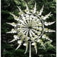 thumbnail image 1 of Escultura de turbina eólica cinética de metal, molino de viento mágico único con jardín con hilanderos de acero inoxidable para jardín al aire libre para decoración de patio | MOON, 1 of 5