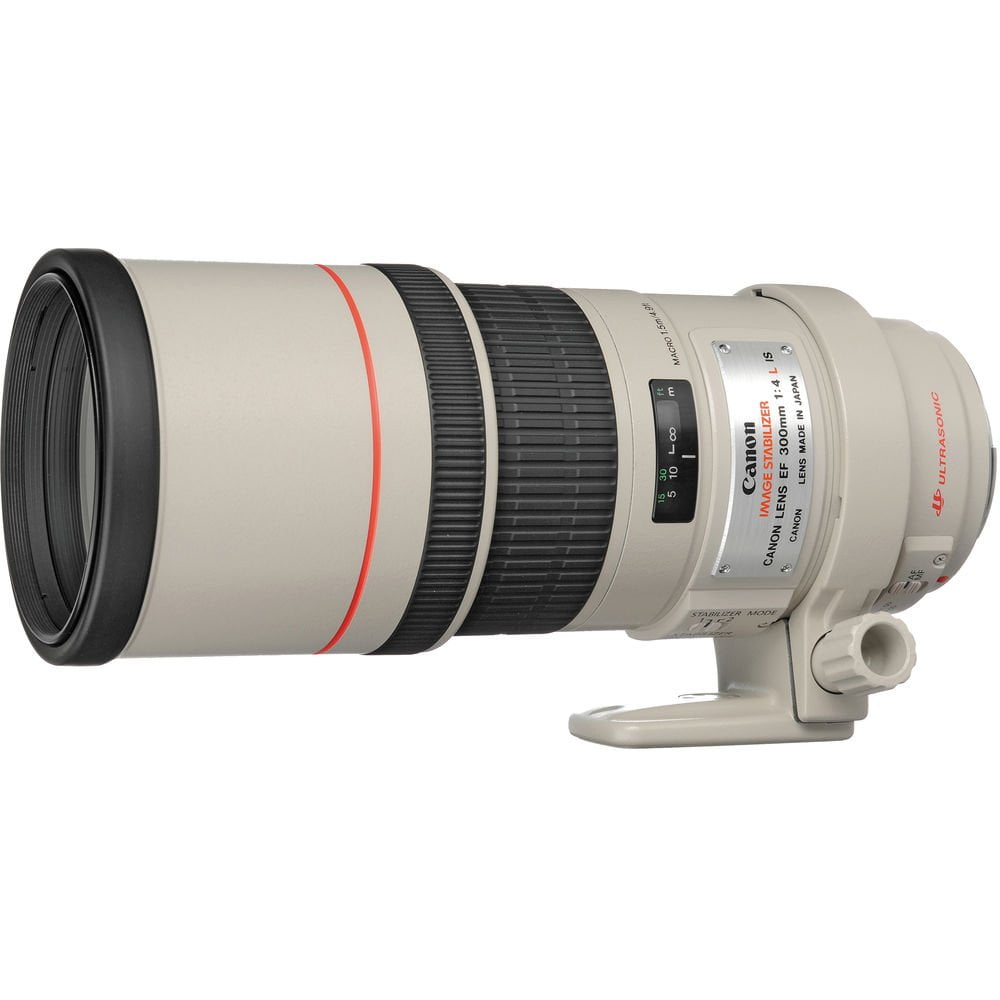 Canon EF - Telephoto lens - 300 mm - f/4.0 L IS USM - Canon