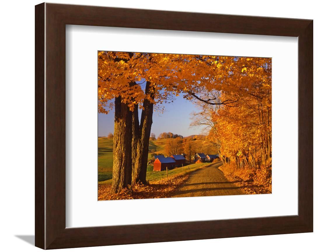 Art & Collectibles Forest West Virginia Grist Mill Nature Photography