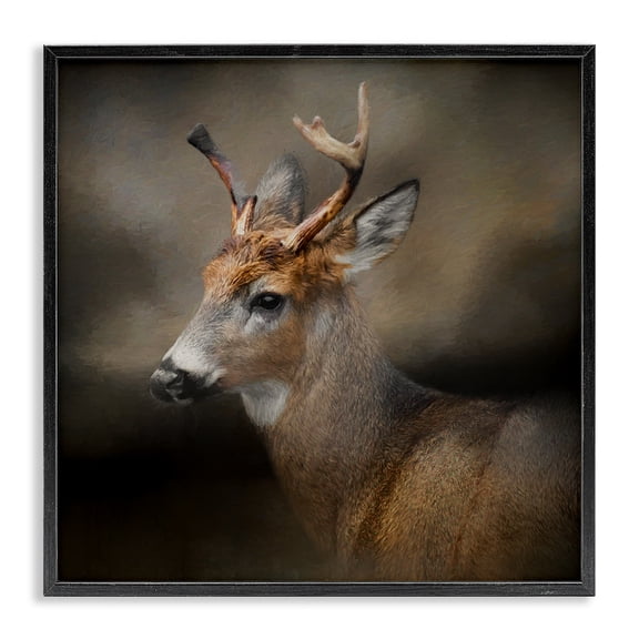 Stupell Industries Farmhouse Woodland Deer Nature Photography Black Framed Giclee Art, 24 x 24, by Kelley Parker