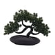 thumbnail image 5 of bonsái artificial, pequeño macetero falso, adorno en maceta, bonsái verde, plantas artificiales para el alféizar de la ventana, dormitorio, mesa Verde oscuro 30x23cm, 5 of 8
