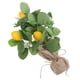 thumbnail image 2 of Tallo de planta artificial, adorno de rama de limón, arreglo floral, decoración de jarrón, 2 of 8