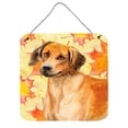 thumbnail image 1 of Carolines Treasures BB9937DS66 Rhodesian Ridgeback Fall Wall or Door Hanging Prints, 6 x 6 in., 1 of 1
