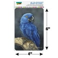 thumbnail image 6 of Hyacinth Macaw Parrot Home Business Office Sign, 6 of 7