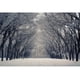 thumbnail image 3 of Fondos fotográficos con escena de nieve y árboles en el bosque invernal de Yeele para sesión fotográfica, decoración, fondos fotográficos para estudio fotográfico, 3 of 5