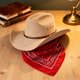 thumbnail image 4 of Disfraces de Halloween para gatos Disfraz de vaquero Sombrero de vaquero con pañuelo para Halloween Fiesta de Halloween Cosplay, 4 of 6