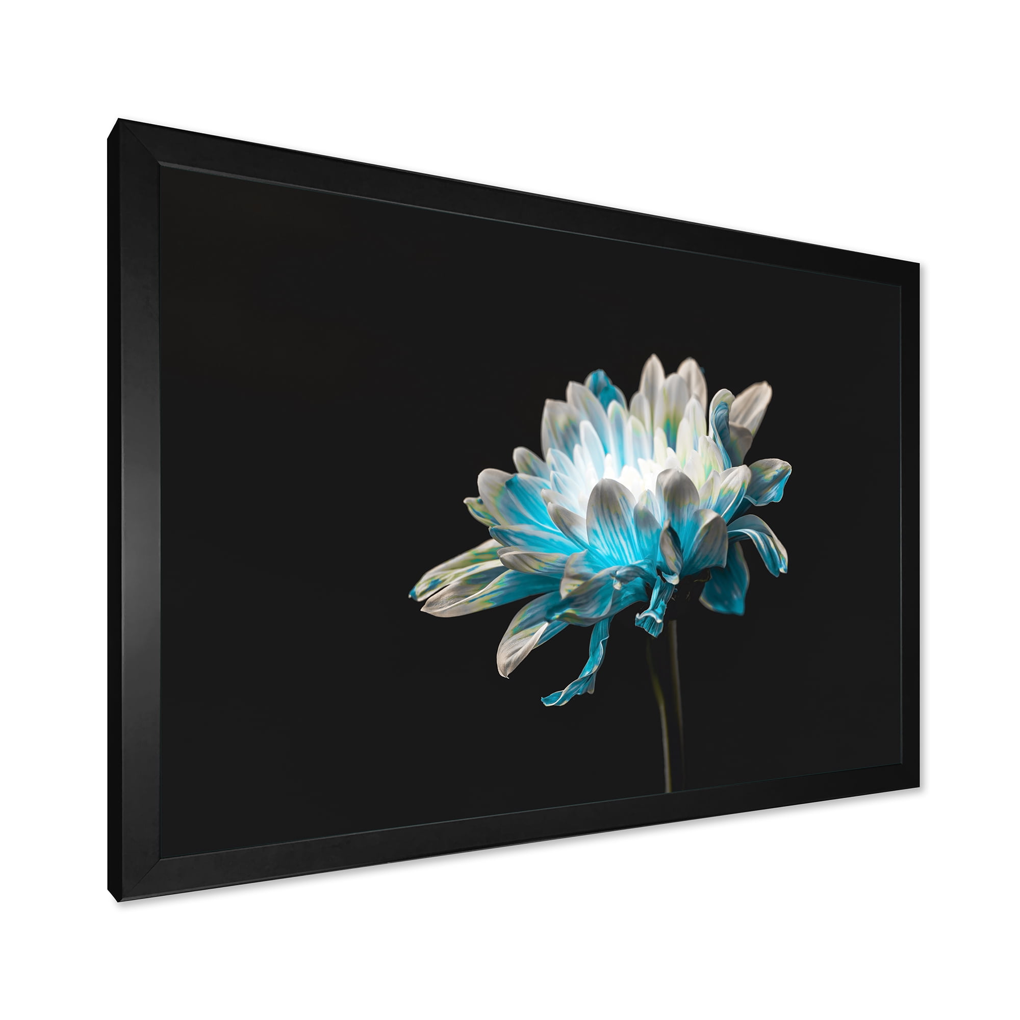 Designart 'Close Up Of White and Pure Blue Daisy Flower I' Traditional Framed Art Print