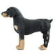 thumbnail image 1 of Sunnycamping - Protector de pierna para perro, accesorios para la articulación del corvejón, parte trasera de apoyo Negro Colco Protector de ortesis de codo de pierna, 1 of 7